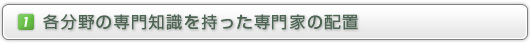 （１）各分野の専門知識を持った専門家の配置